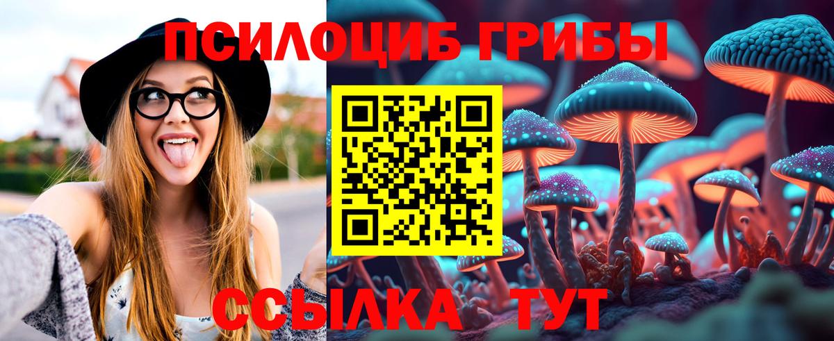 Камышлов  Псилоцибиновые грибы MAGIC MUSHROOMS  Вход с VPN 